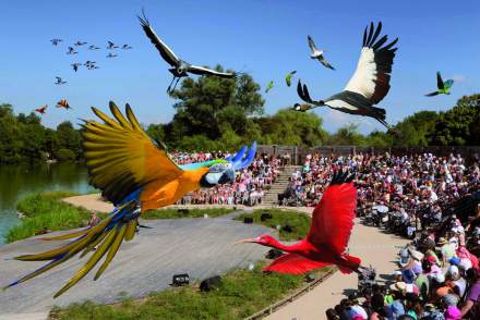 Parc des oiseaux