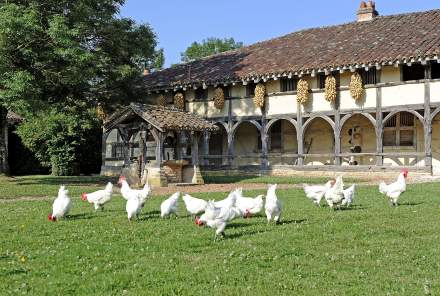 Musée de la Bresse -Domaine des Saveurs et des Planons