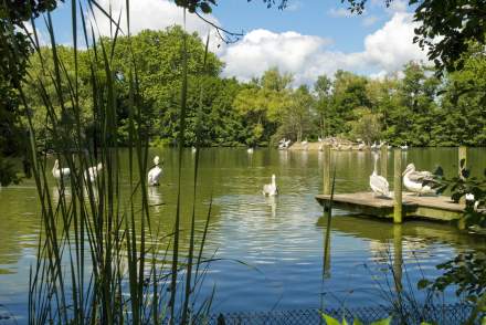 Activités &amp; Loisirs dans l’Ain, Bresse · Georges Blanc